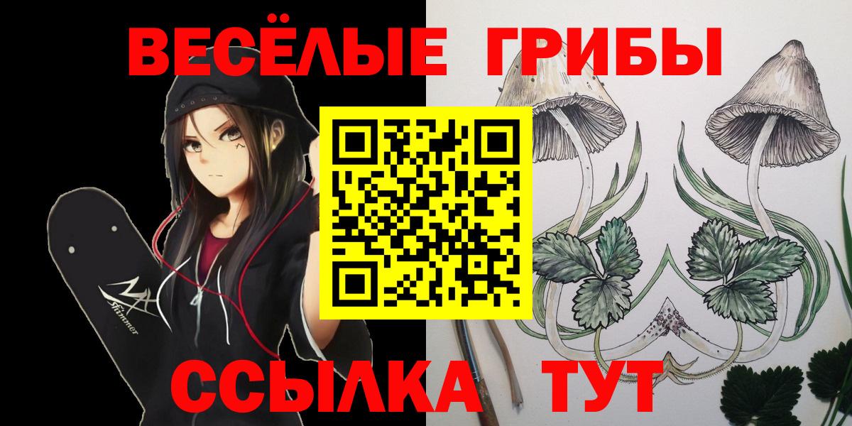 Кореновск  Псилоцибиновые грибы мицелий  Вход с VPN  что такое   Псилоцибиновые грибы MAGIC MUSHROOMS 